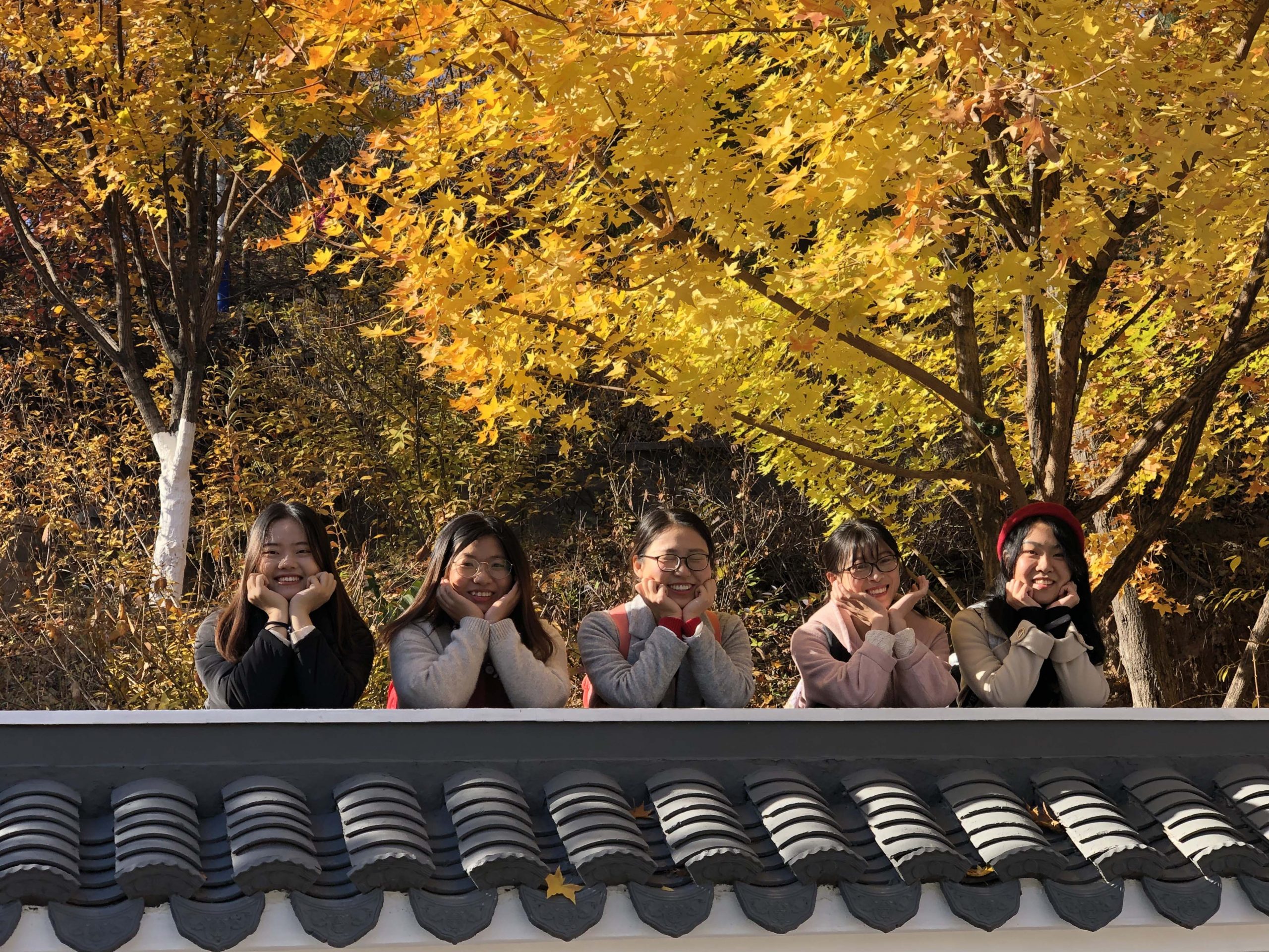 北宫国家森林公园-3